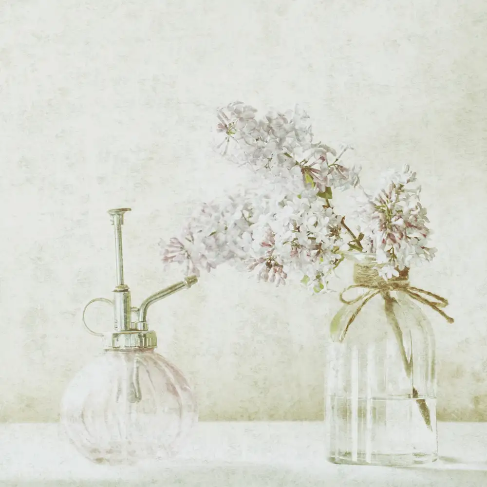 Devos, Delphine: Le parfum des lilas