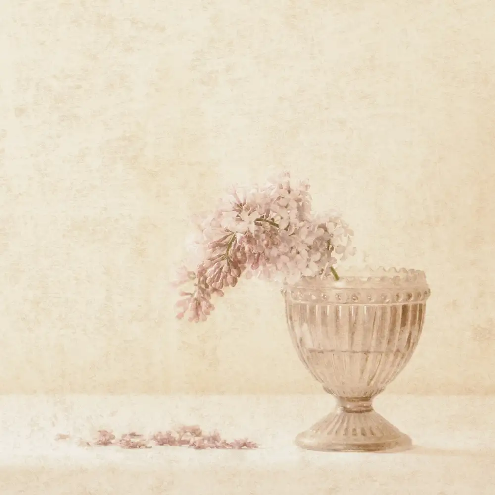 Devos, Delphine: Un rametto di lillà - Mood vintage