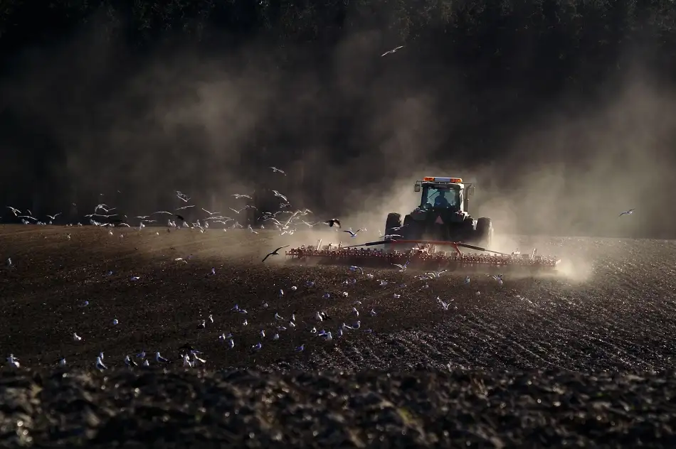 Wallberg, Allan: Farmář na poli