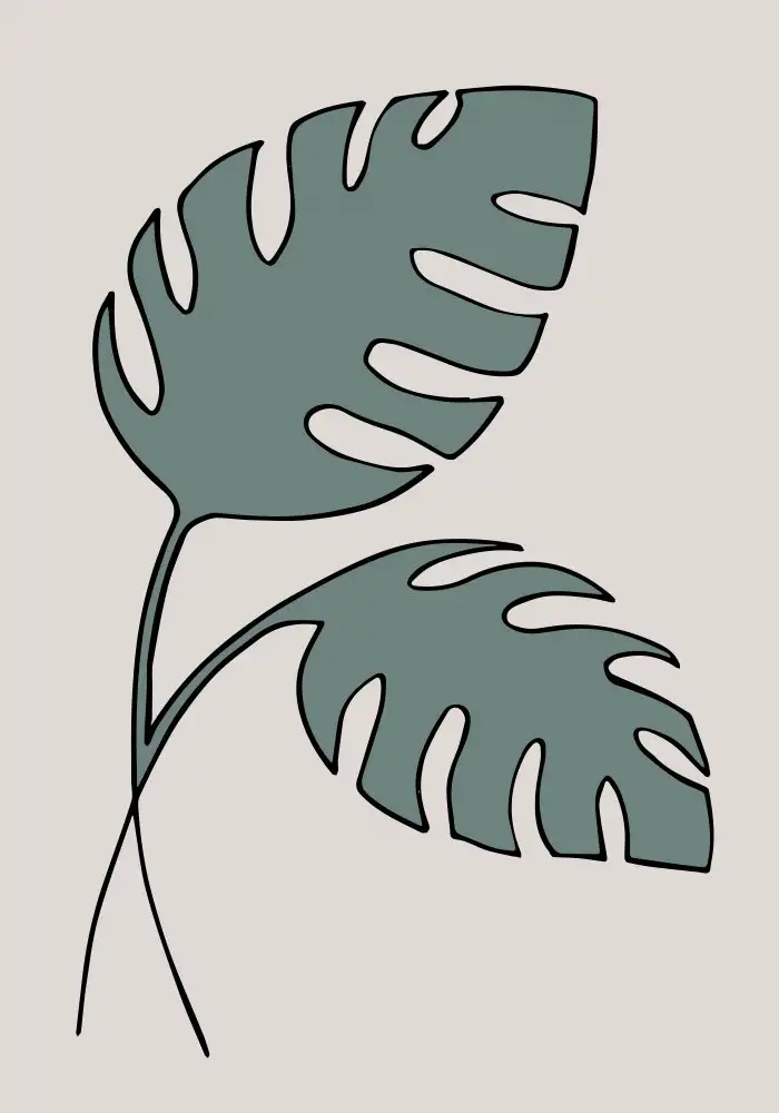 Studio, Pictufy: Monstera Cross