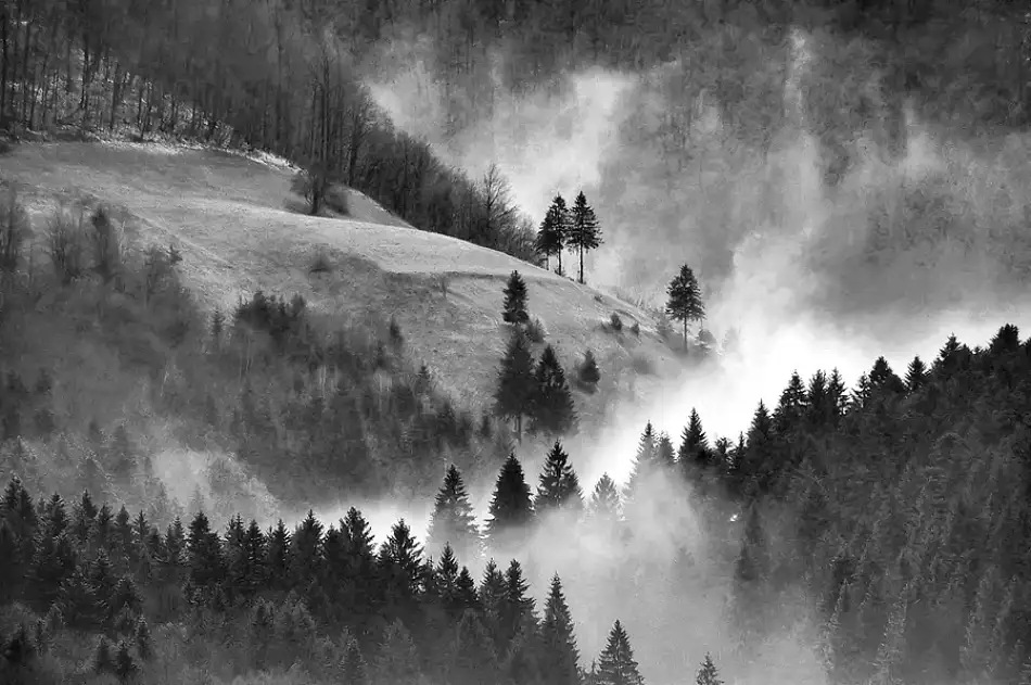 Kravanja, Jure: Dove nascono le Favole