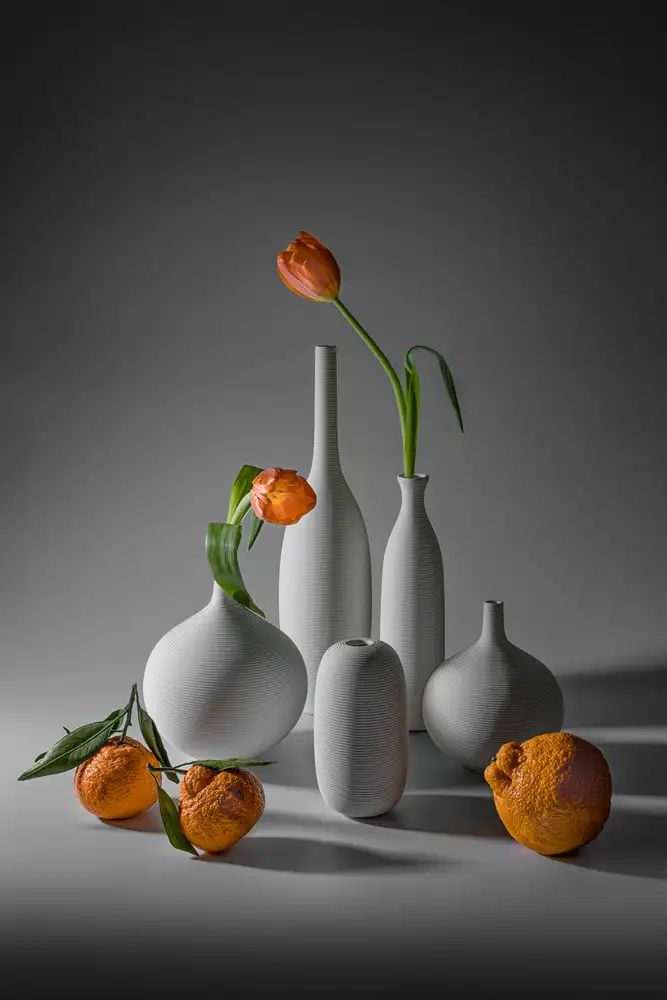 Jacobs, Lydia: Tulipe et Mandarine