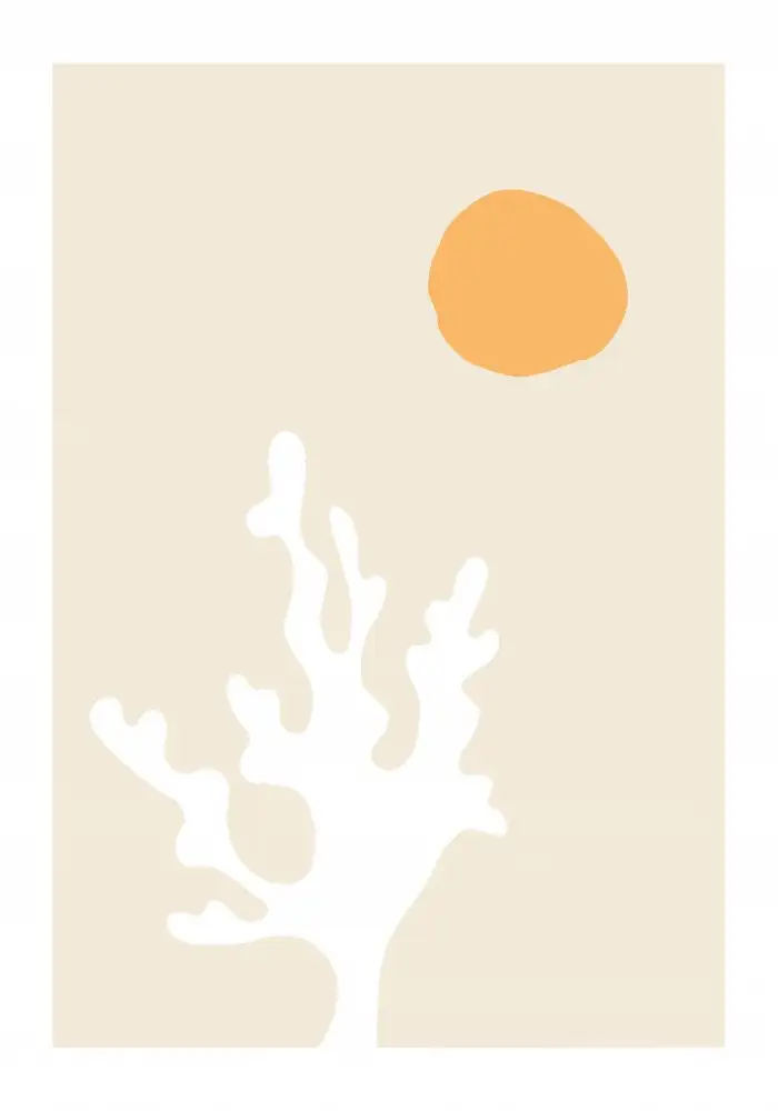 Studio, Pictufy: Alghe al sole
