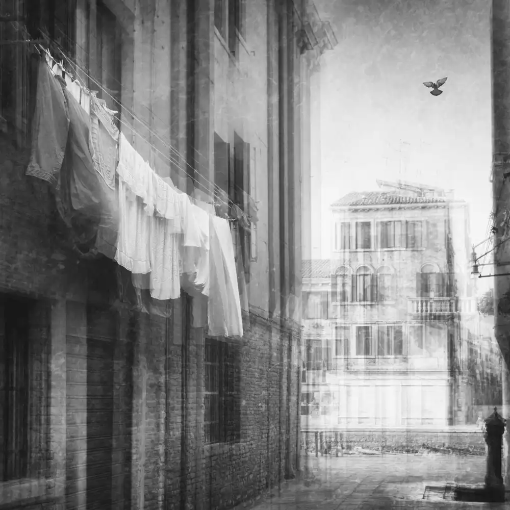 Schleicher-Schwarz, Roswitha: nessun visitatore