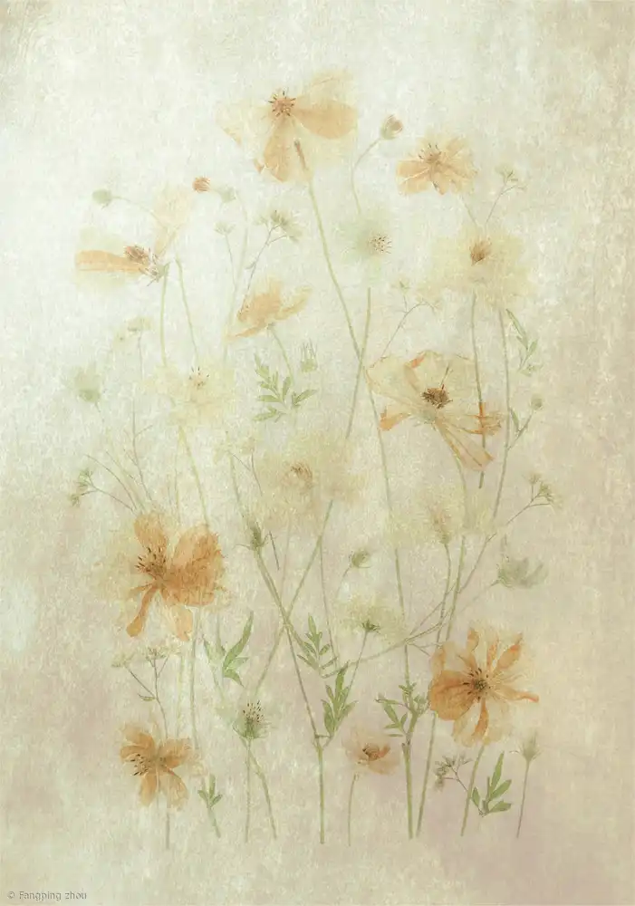 Zhou, Fangping: Yellow Cosmos