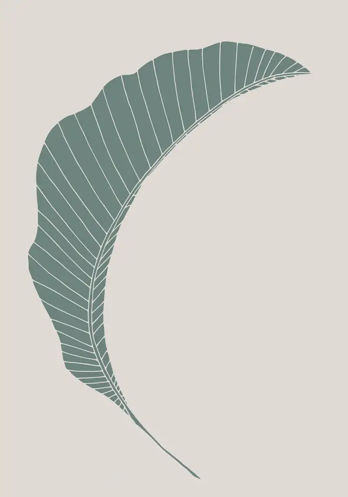 Studio, Pictufy: Bananenblattgrün