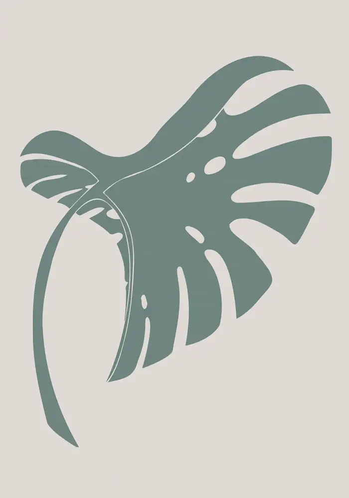 Studio, Pictufy: Monstera Bent Green