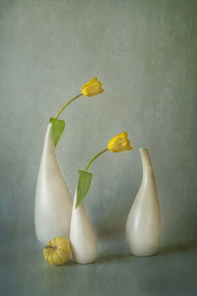 Jacobs, Lydia: Tulipe jaune et mini courge