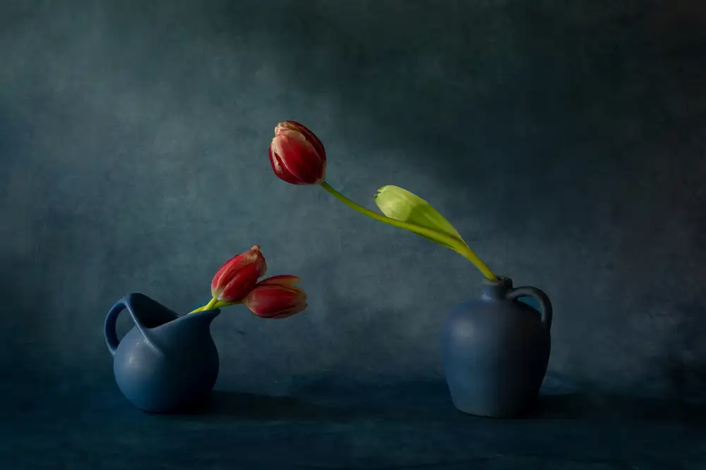 Zhang, Dennis: Tulips & vases