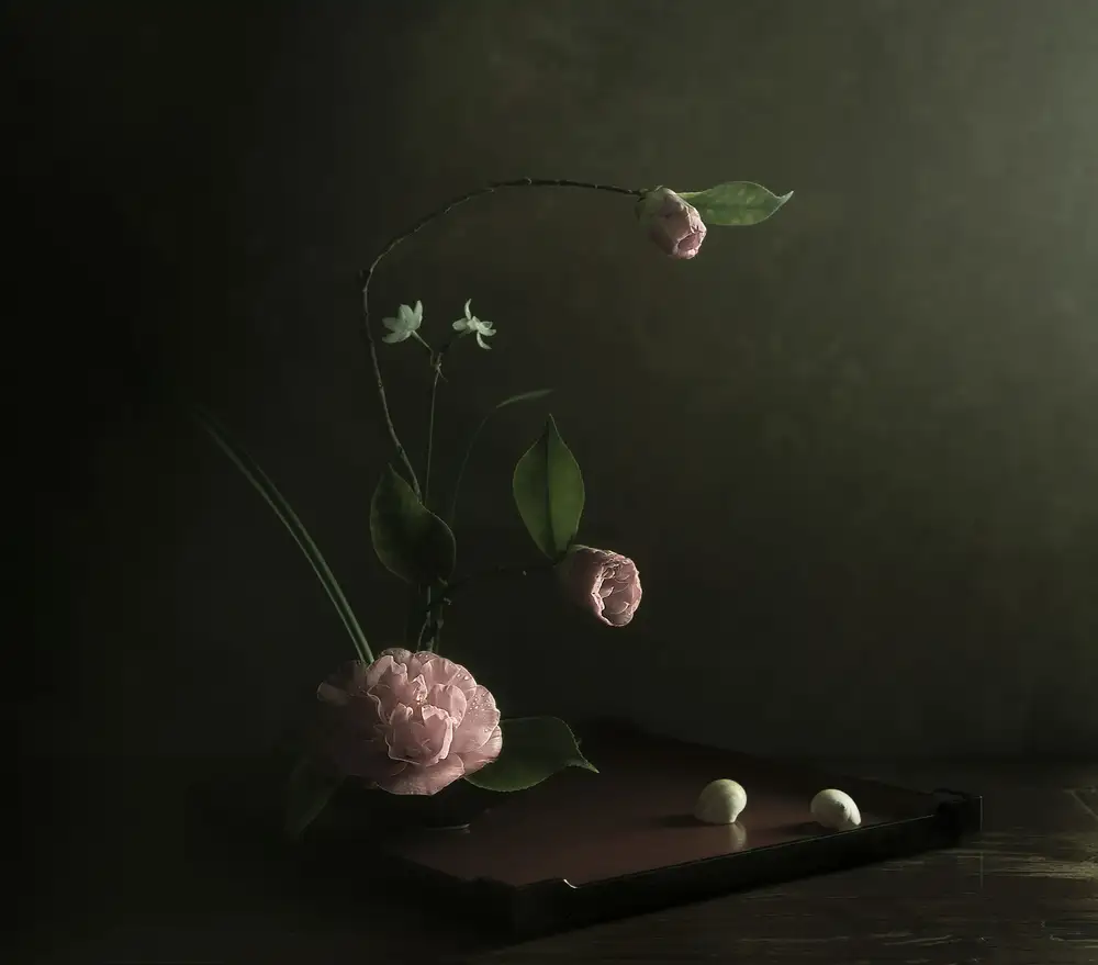 Tseng, Judy: Debutante