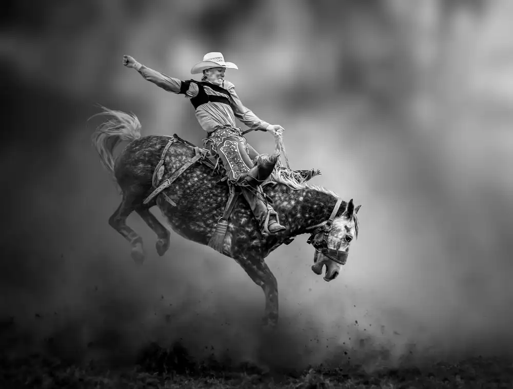 Wu, Irene: Rodeo