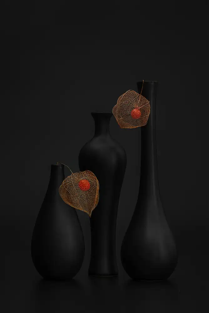 Jacobs, Lydia: Lanterne Orange