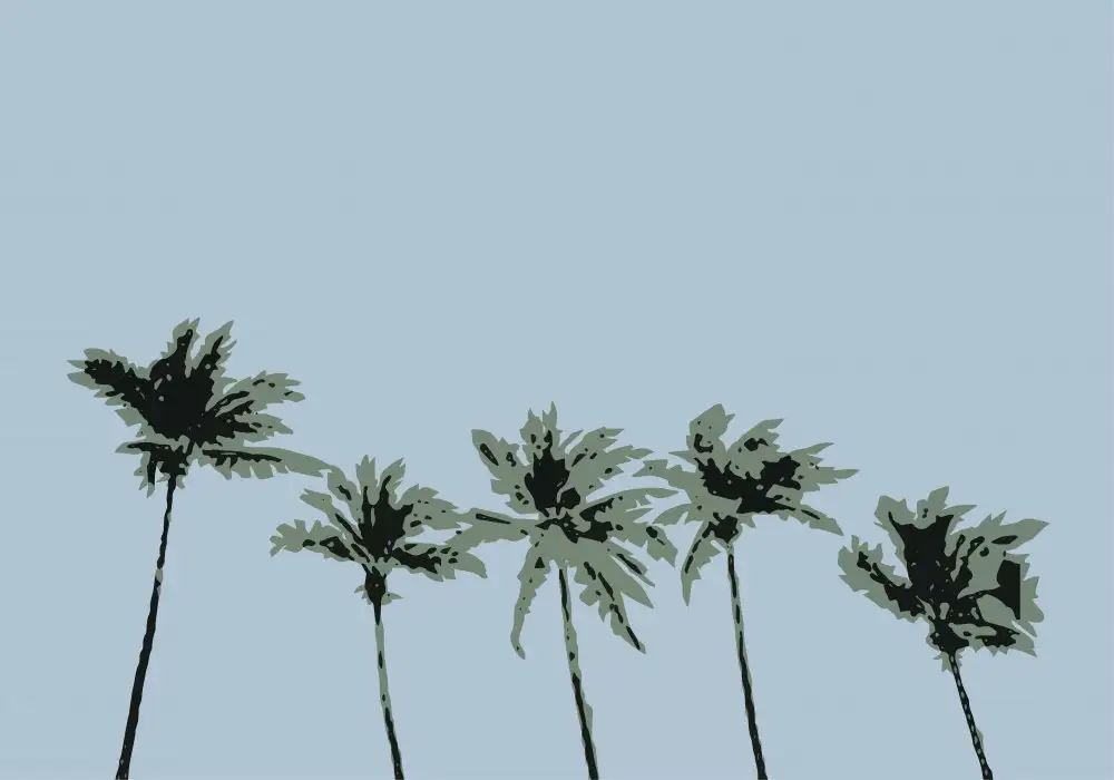 Studio, Pictufy: Palme blu