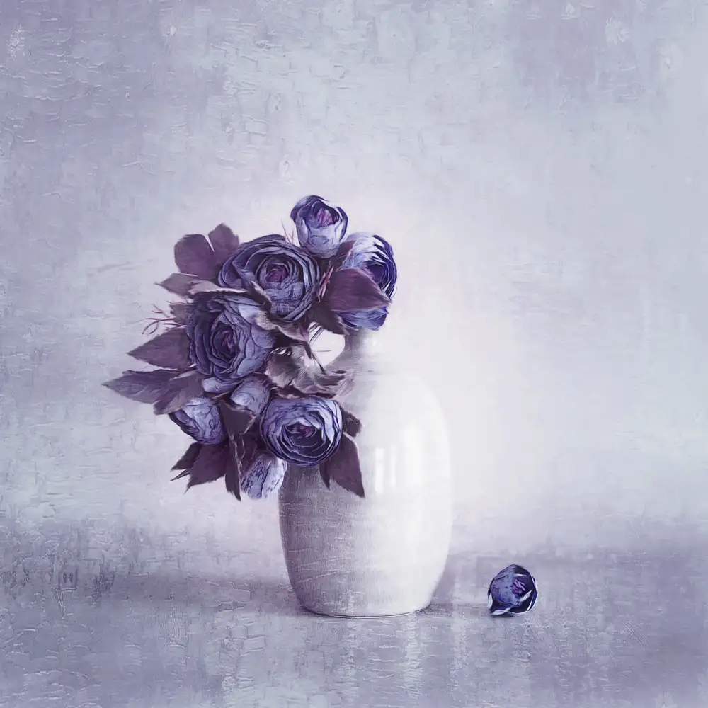 Kiral, Cicek: Viola