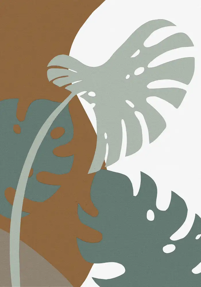 Studio, Pictufy: Monstera ritagliata 03