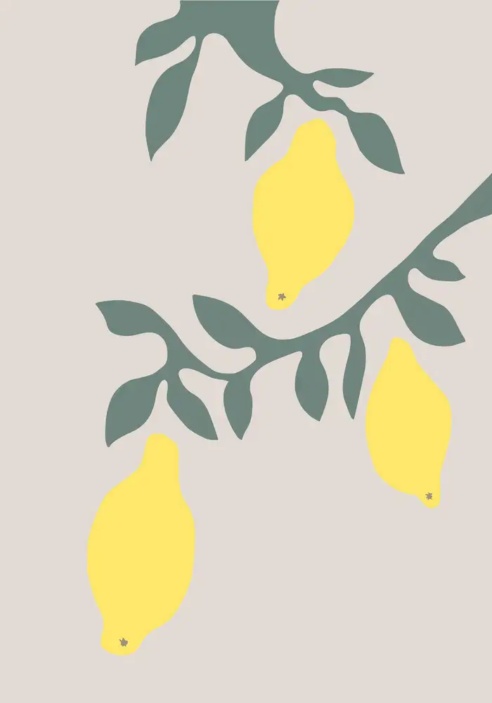 Studio, Pictufy: Limoni