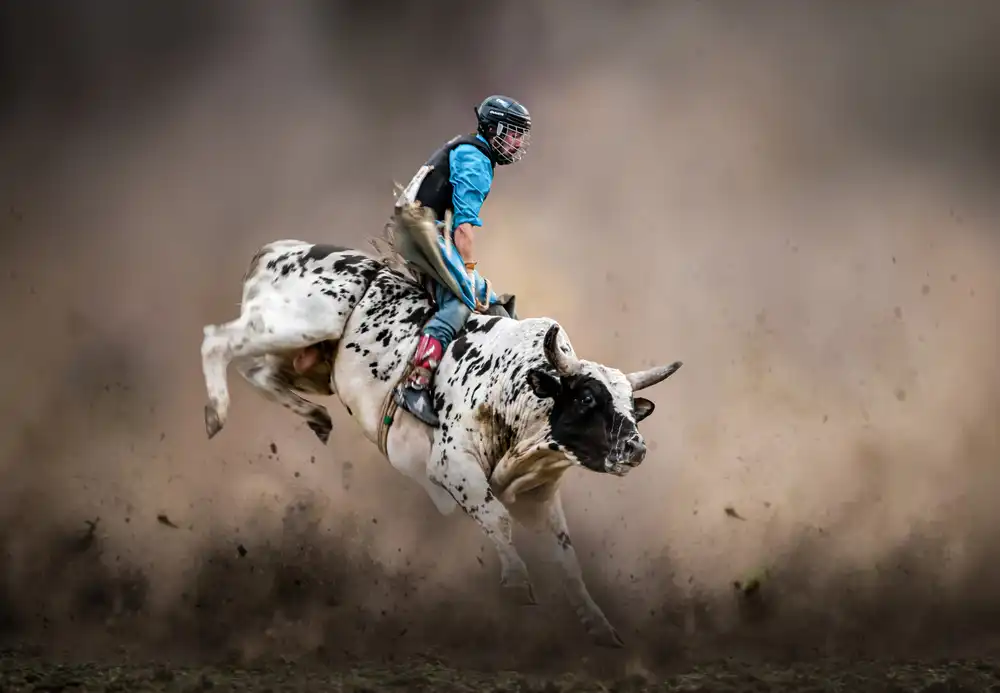 Wu, Irene: Bullenreiten