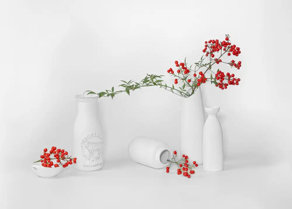 Poreider, Annie: Winterbeeren