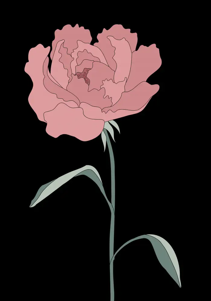 Studio, Pictufy: Peony 01