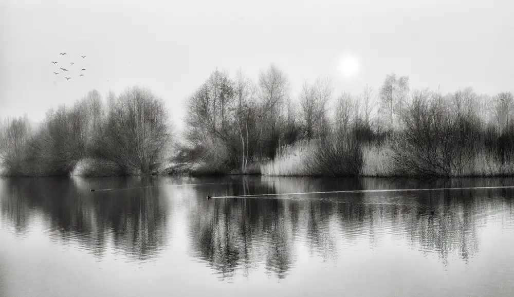 Yvette,,,, Depaepe,,,,: Frühling ist in der Luft ...