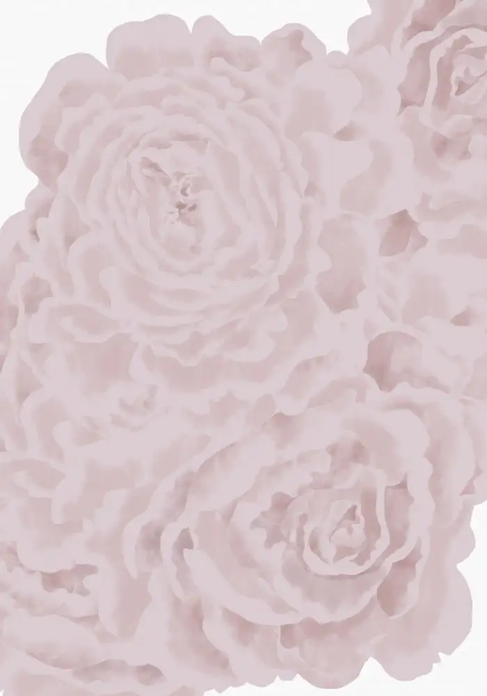 Studio, Pictufy: Letto di rose