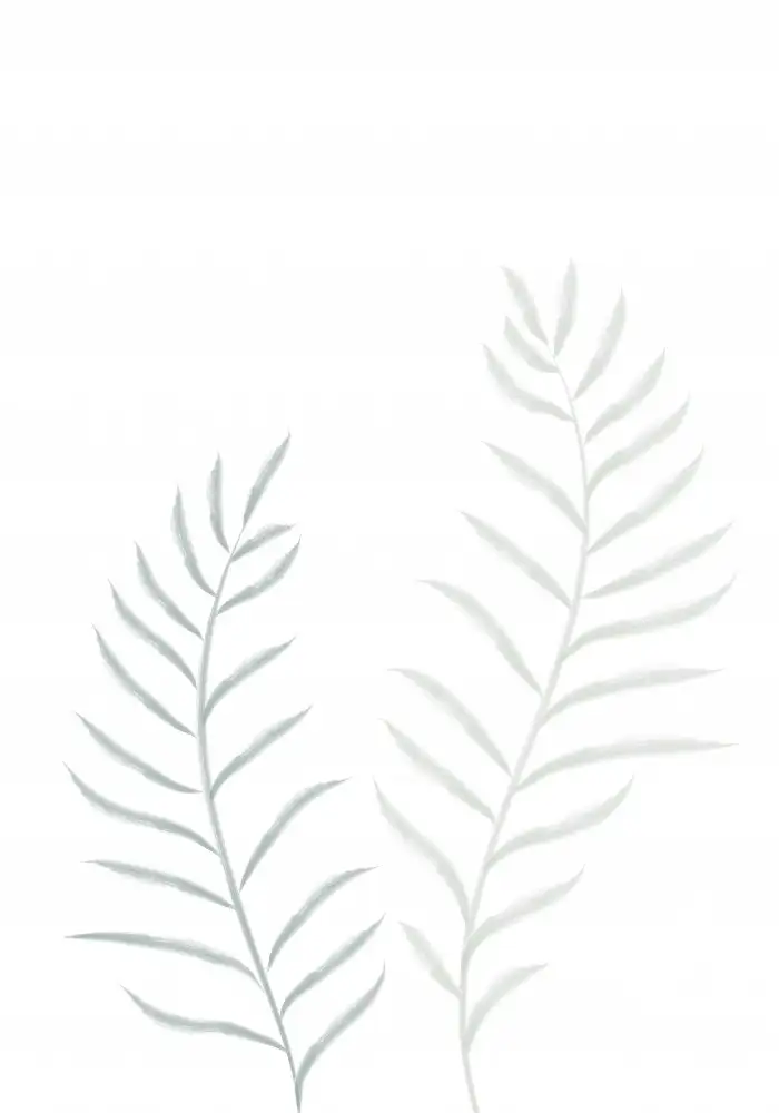 Studio, Pictufy: Piante pallide
