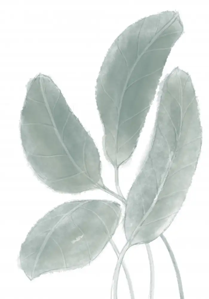 Studio, Pictufy: Blätter Aquarell 02