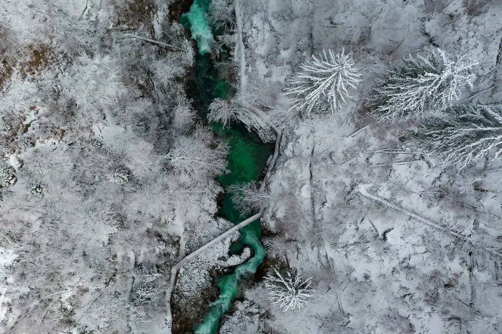 Kravanja, Jure: Vino Blejski,Eslovenia