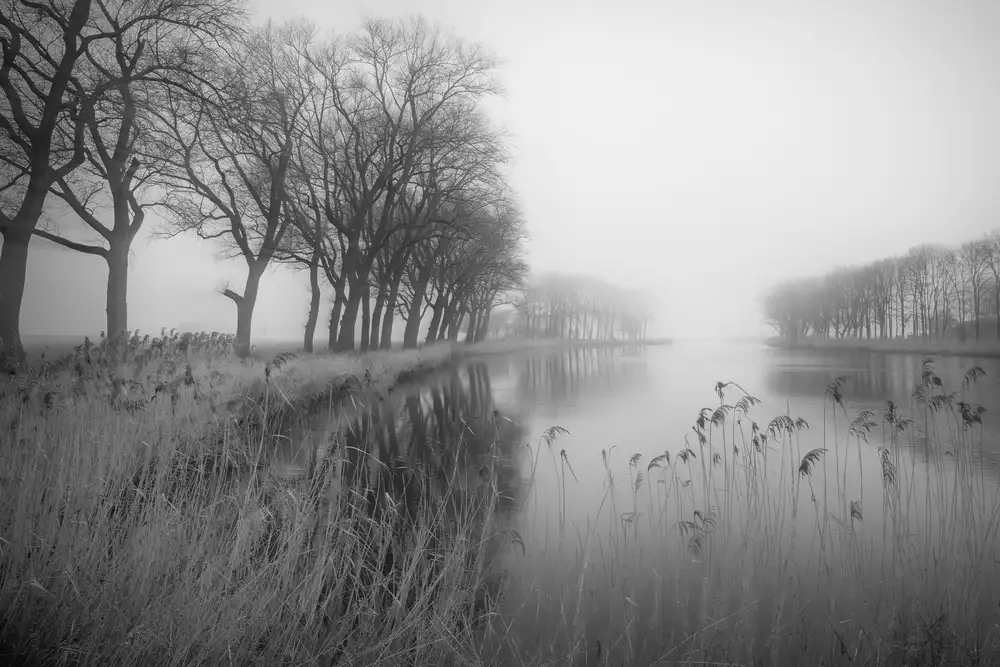 Keizer, Annie: old dutch land