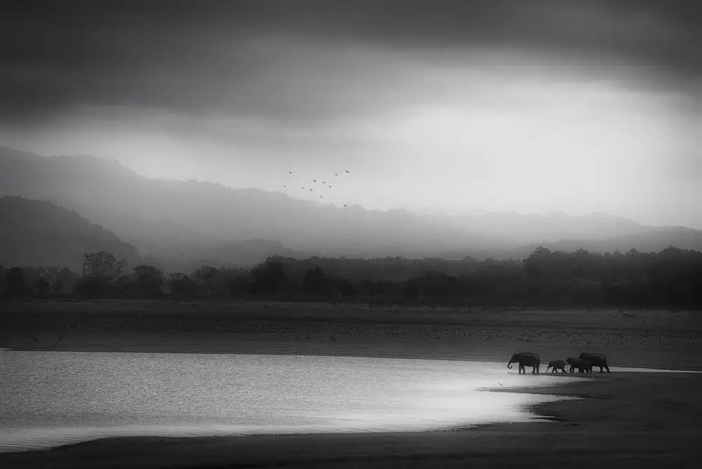 Swapnil: quenching thirst