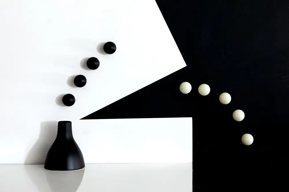 Xu, Wendy: Call black white