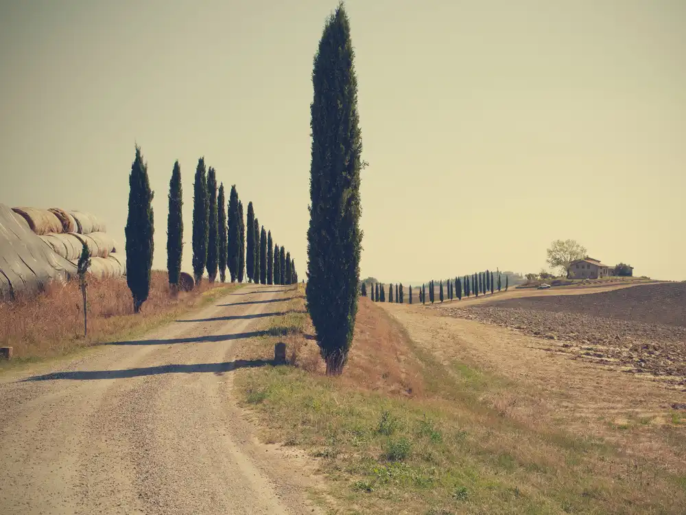 Latta, Della Massimo: Tuscan countryside