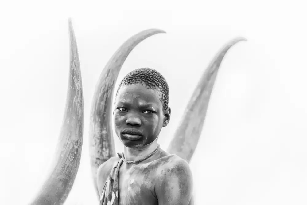 Cole, Trevor: enmarcado