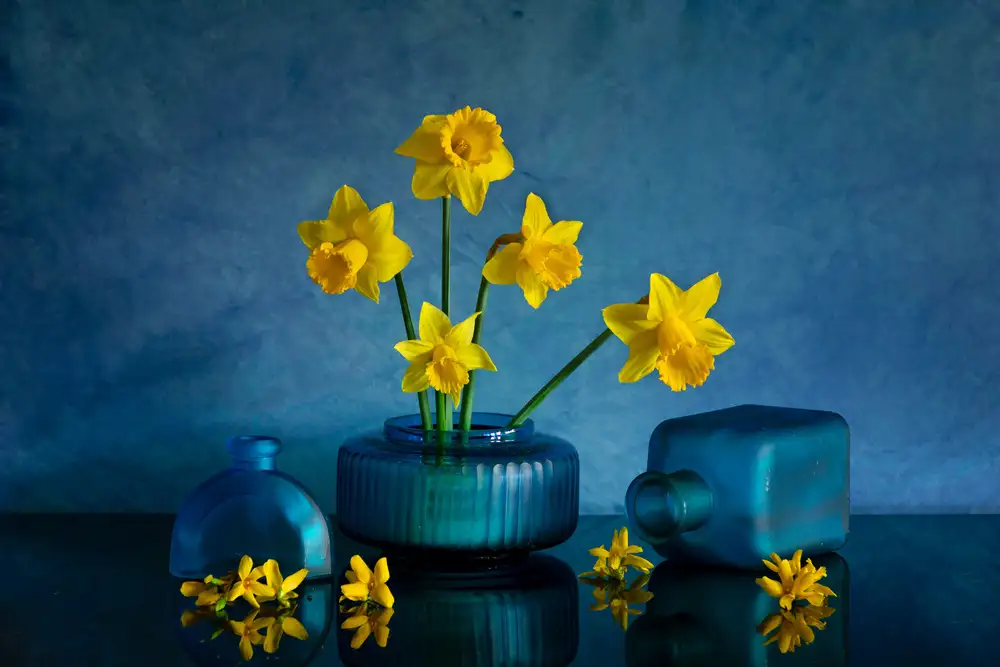 Xu, Wendy: Žlutý narcis
