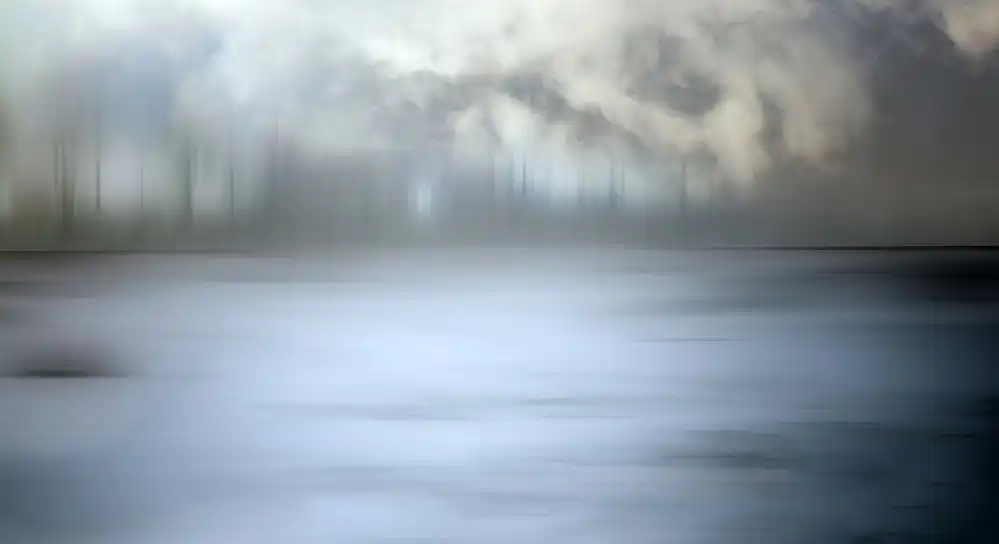 Claes, Gilbert: Foggy forest