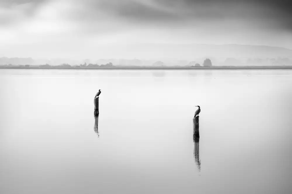 Digalakis, George: Conversation