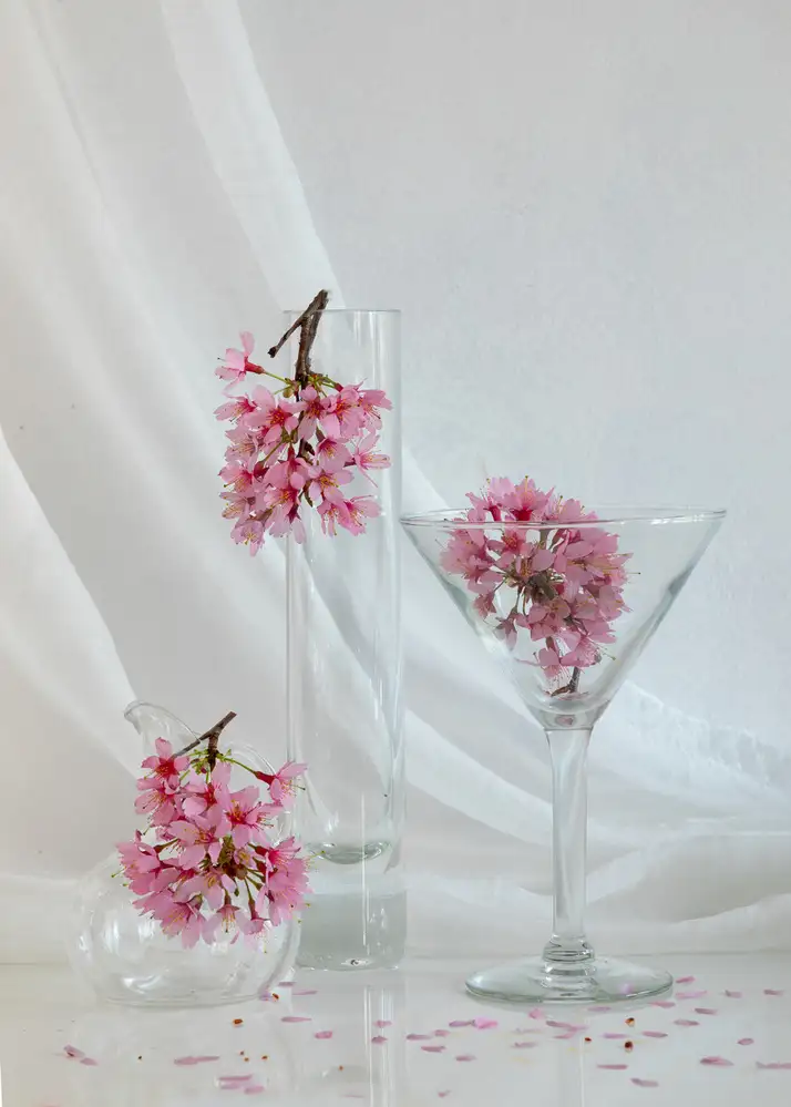 Xu, Wendy: Prunus Cerasifera