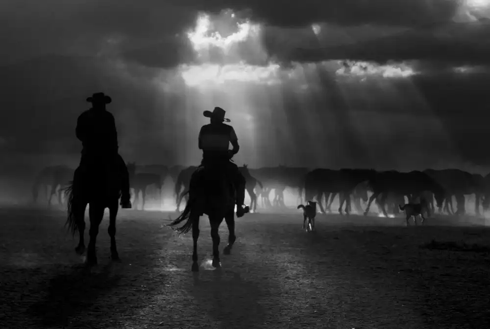 Basa, Emine: caballos gratis