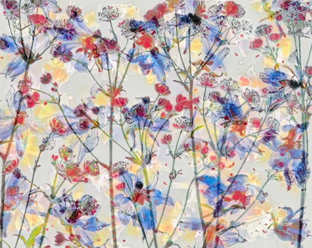 Dingemans, Saskia: Fiori pittorici.