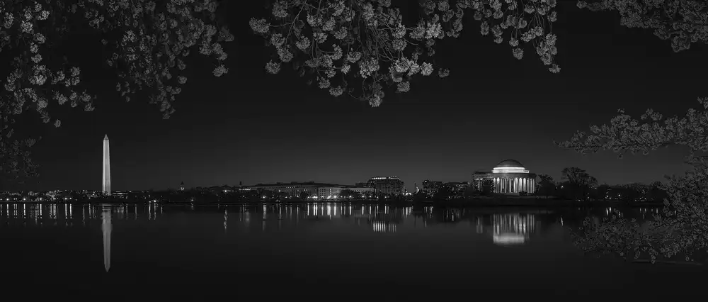 Liu,, Yanny,: Cherry Blossoming