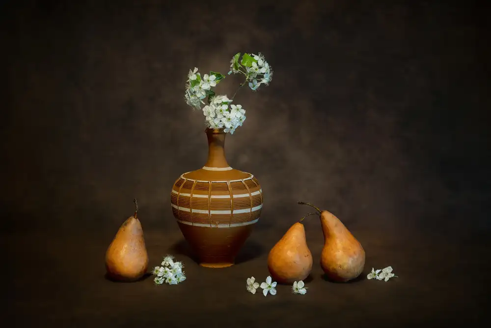 Wei, and Siyu: Cycle de vie des poires