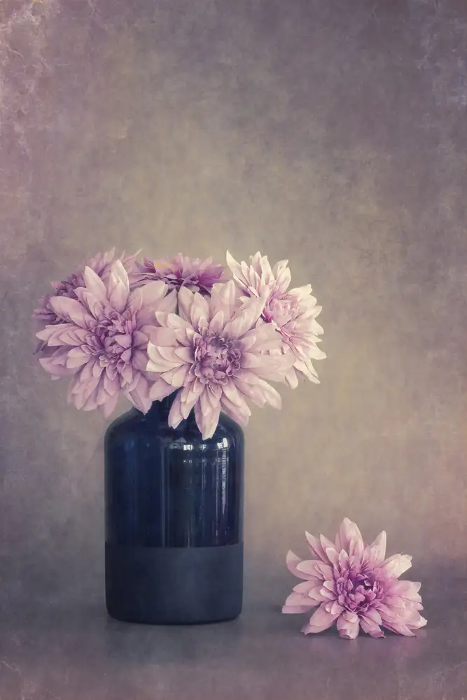 Kiral, Cicek: Rose et doux