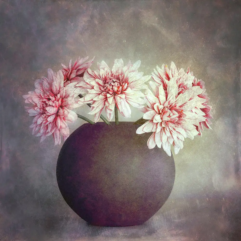 Kiral, Cicek: Fleurs
