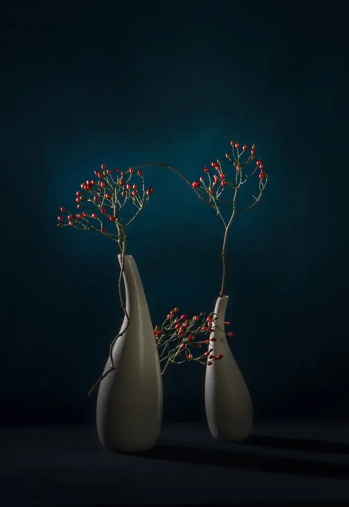 Zhong, John-Mei: baies rouges