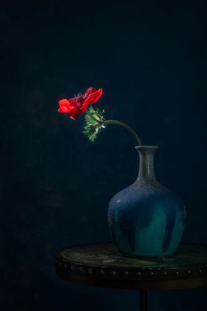 Jacobs, Lydia: Coquelicot rouge