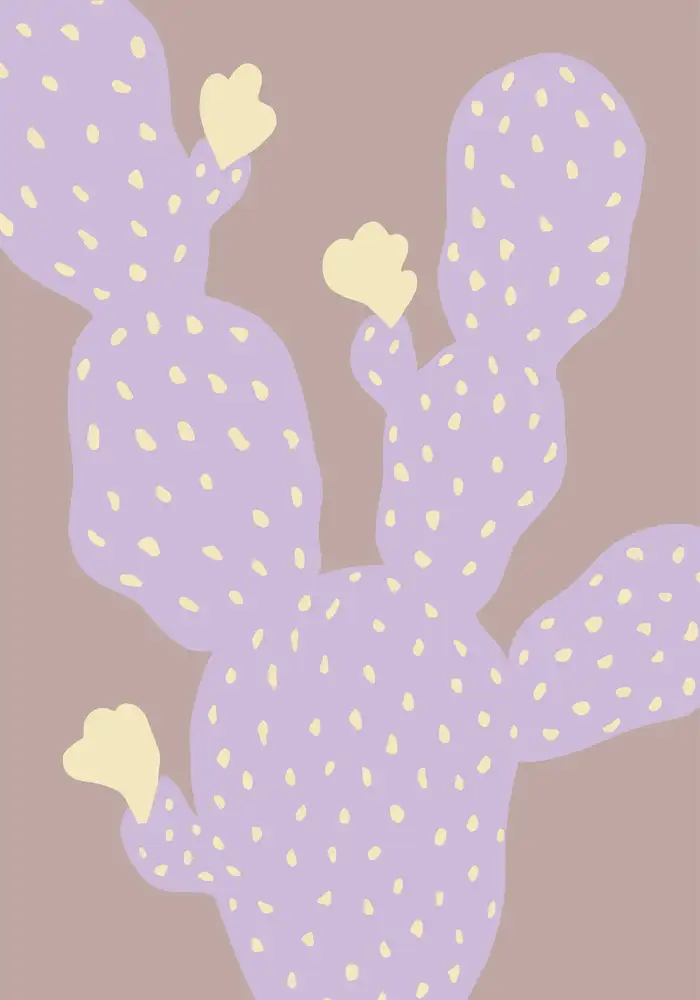 Studio, Pictufy: Cactus lilla
