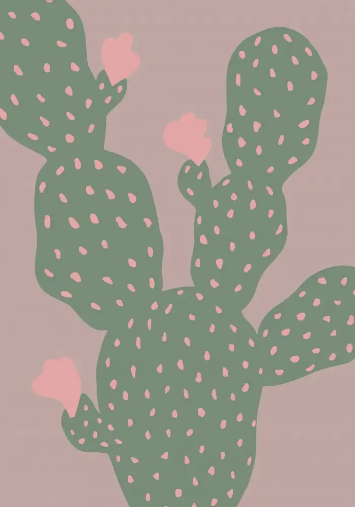 Studio, Pictufy: Cactus verde