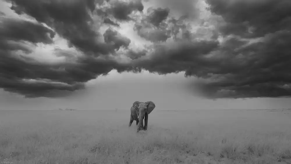 Lu, Jennifer: Beautiful storm
