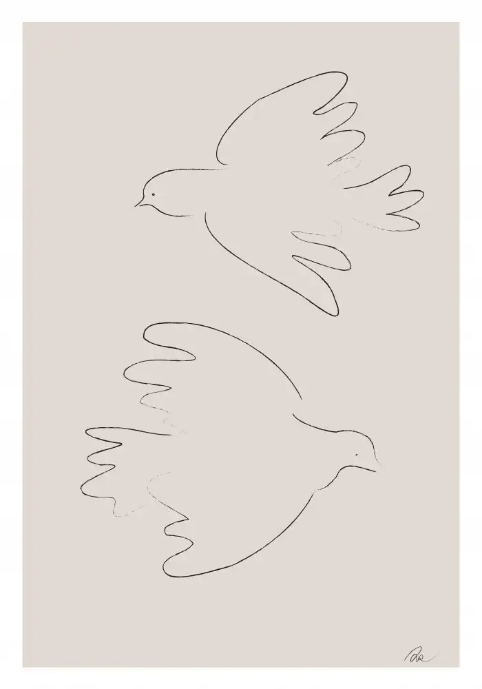Studio, Pictufy: Due colombe