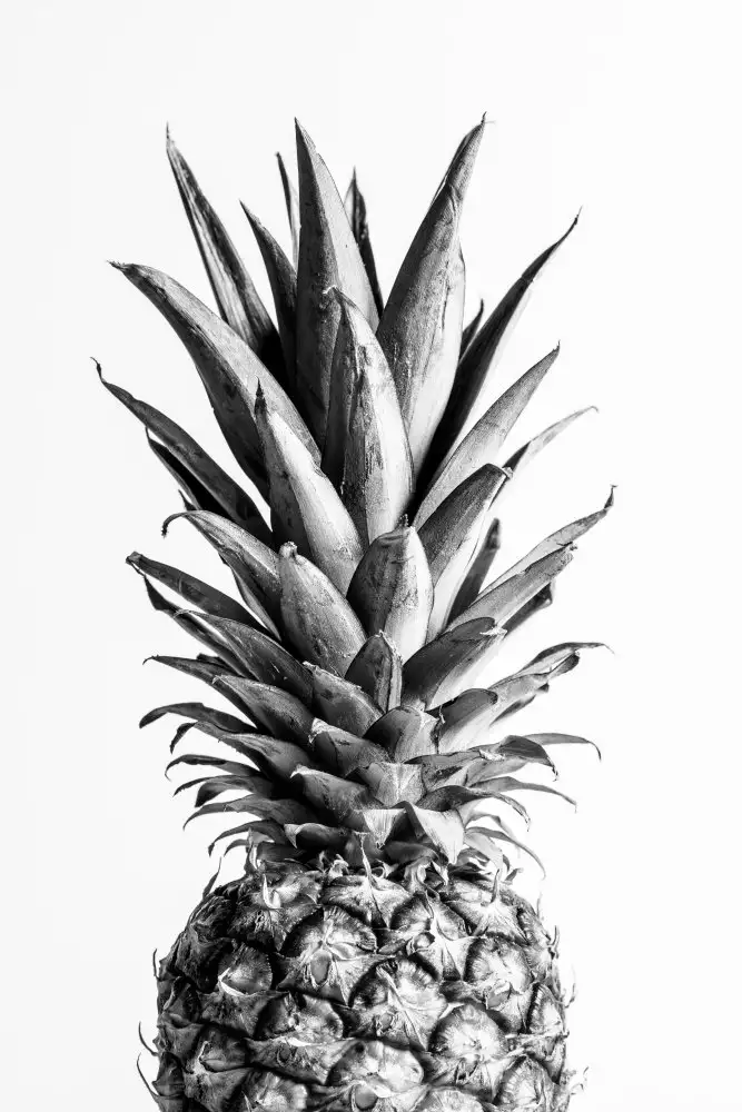 Studio, Pictufy: Ananas in bianco e nero 01